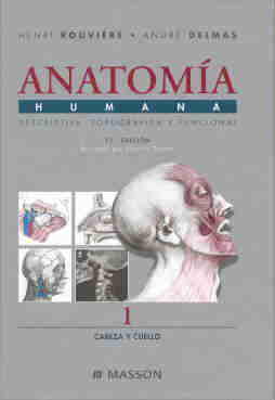 Skandalakis Anatomia Y Tecnicas Quirurgicas Pdf 12